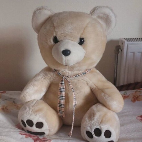 Teddy bear like new medium size white with ribbon