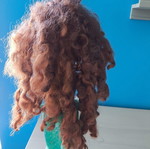 Ariel mermaid doll