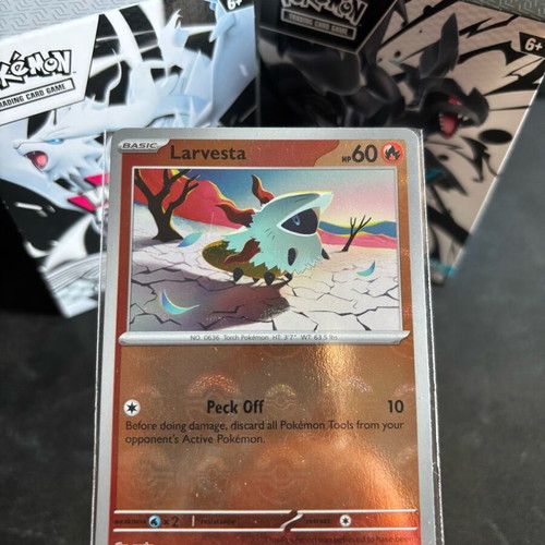Larvesta (xBLK 015) Black Bolt-Pokeball card new
