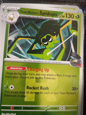 Ascended Heroes Pokémon Card like new, symbol 019