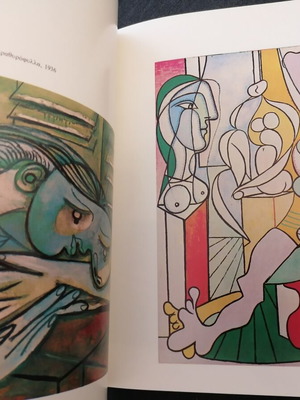 Λεύκωμα Picasso μεταχειρισμένο, Ο Picasso και η Μεσόγειος