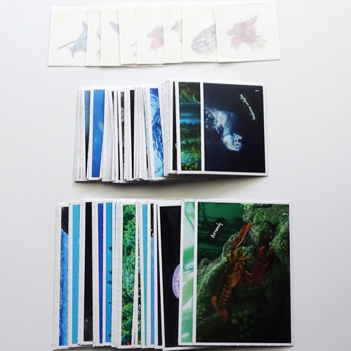 100 AB Stickers Exploring the Ocean and 8 Tattoos new