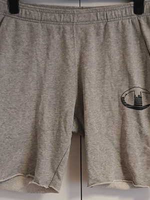 Champion men's shorts gray size L like new