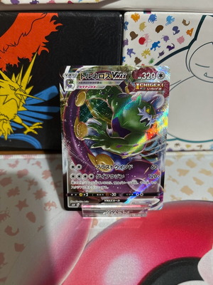 Pokemon card Tornadus Vmax Japanese holographic new