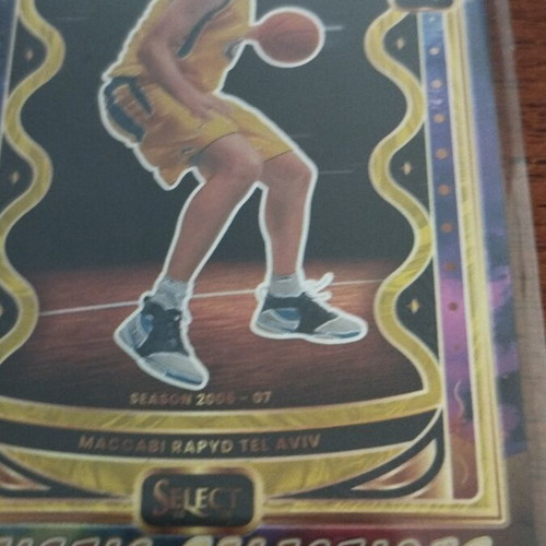 Vujcic Artistic Selections Panini case hit