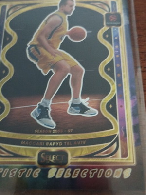 Vujcic Artistic Selections Panini case hit