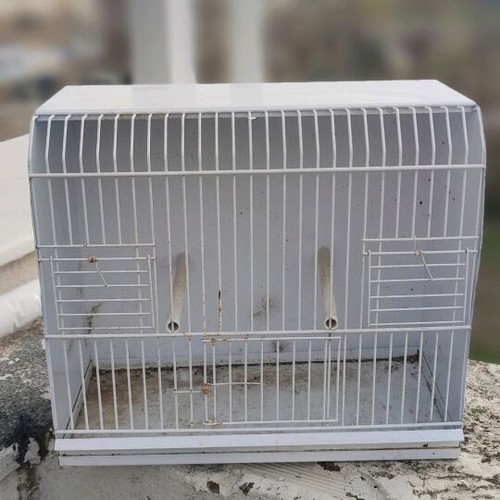 Κλουβί εκθεσιακό μεταχειρισμένο για ωδικά πτηνά και καναρίνια