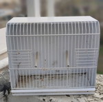 Κλουβί εκθεσιακό μεταχειρισμένο για ωδικά πτηνά και καναρίνια
