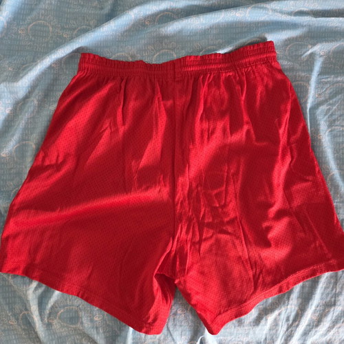 Chicago Bulls NBA Champion Shorts size Medium like new