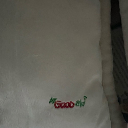 ArGooDaki collectible pillow new from goody’s