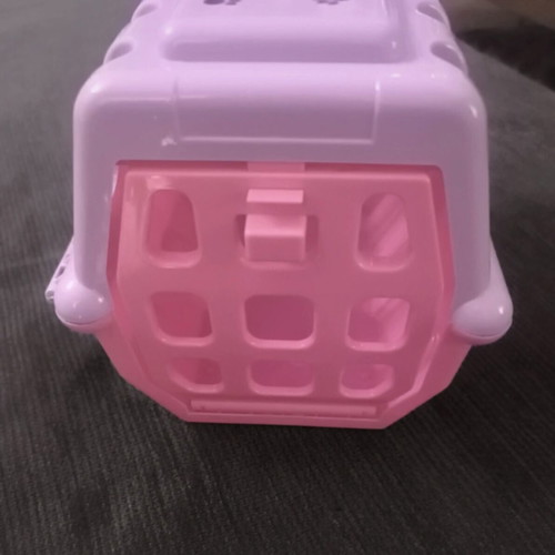 Pink Cat Carrier Like New for Small Cats
