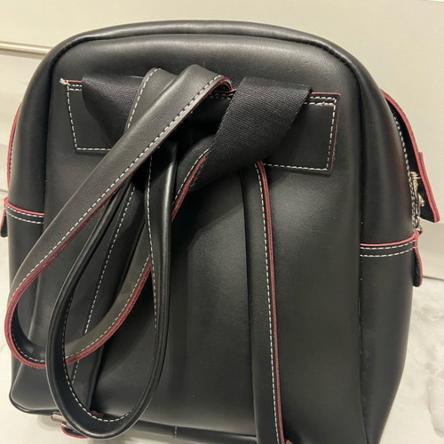 FRNC leather backpack used with pouch