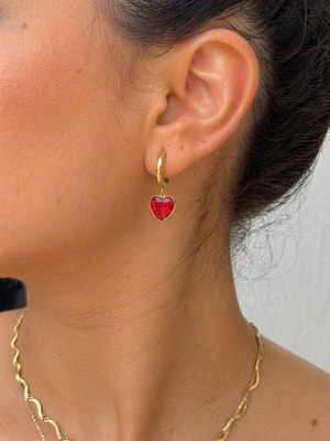Stainless steel earrings new