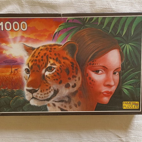 Puzzle used with 1000 pieces