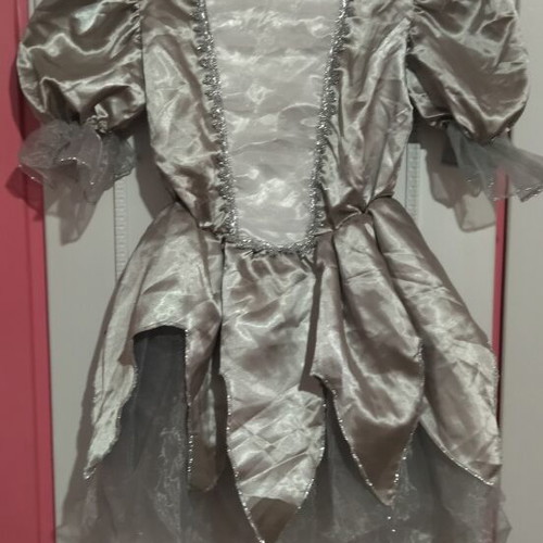 Carnival costume like new