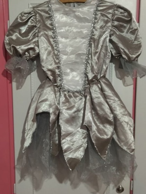 Carnival costume like new