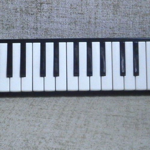 Hohner Melodica Piano 27 Vintage Made in Germany New with Case