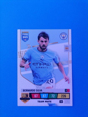 Silva FIFA 2023 card like new