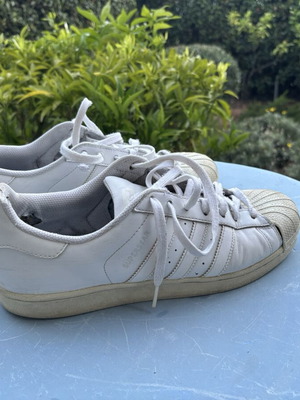 Adidas Superstar παπούτσια μέγεθος 43,5 μεταχειρισμένα, άσπρα casual