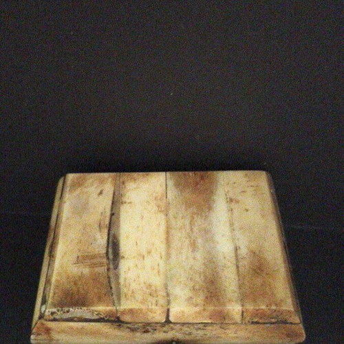 Vintage camel bone jewelry box with brass owl clasp