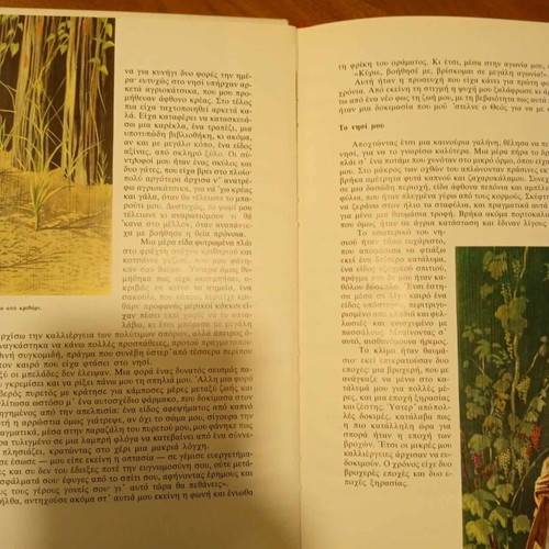 Robinson Crusoe illustrated edition for children used