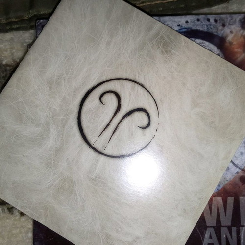 The Ram Rich Shapero CD used, folk rock with booklet