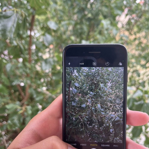 iPhone 7 unlocked 32GB used, Touch ID not working, black