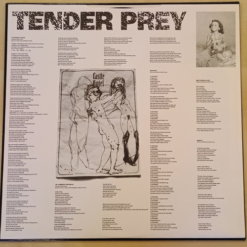 Nick Cave & The Bad Seeds Tender Prey vinyl like new, rock