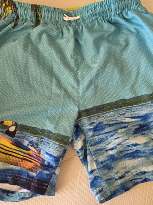 Energiers Boys' Swimwear Size 14 New Blue Turquoise