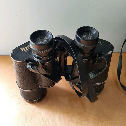 Horizon Ambassador 10×50 binoculars used, vintage Japanese model