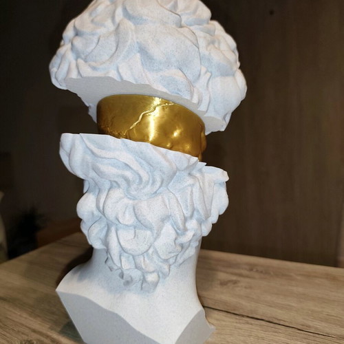 3D Printed David Bust with Gold Skull new, modern decorative art