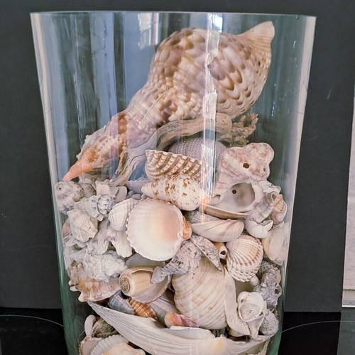 Collection of natural seashells like new, 2 kg with vase