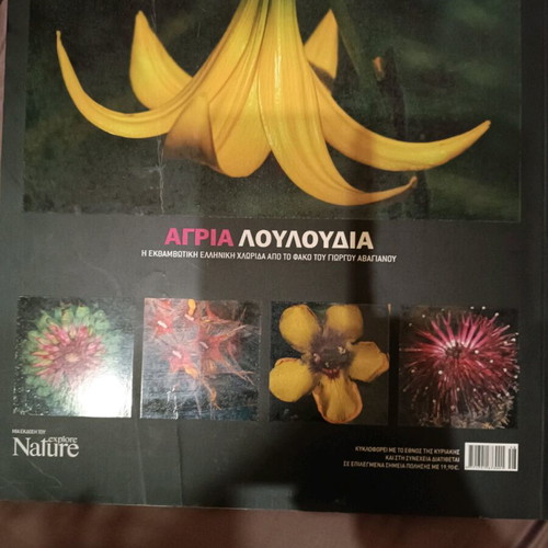 Photo book Wild Flowers like new, album