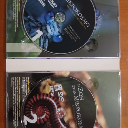 Life in the Undergrowth 2 DVD David Attenborough documentary