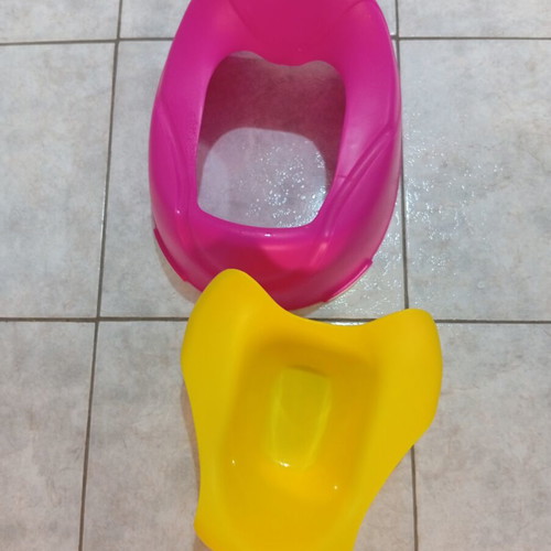 Large potty with removable container