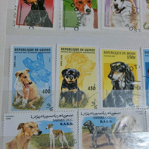Dog-themed stamp collection like new, 15 pieces