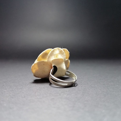 Ring No. 52.5 like new, multicolored