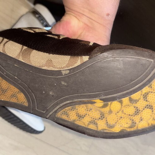 Coach Harmonie sneakers size 41, beige and brown