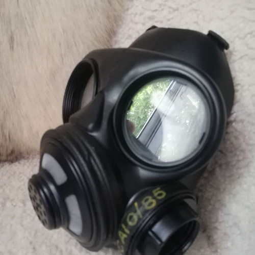 Canadian gas mask, unused