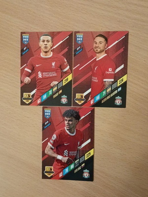 Liverpool Panini 2024 sticker pack like new