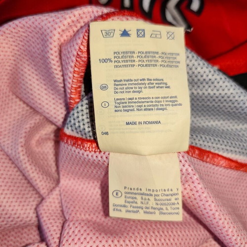 Toronto Raptors Jersey Champion basketball vest used, youth medium, Bargnani 7