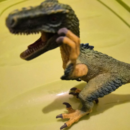 Velociraptor dinosaur figure like new