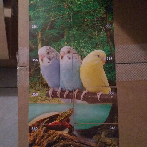 Carouzel The Jungle 3 Sequel sticker album new