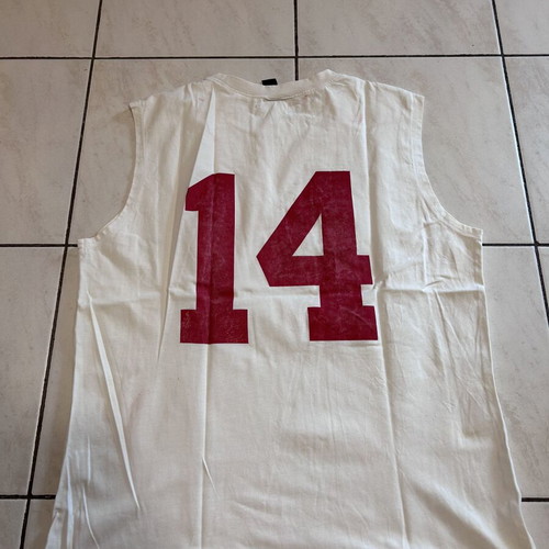 High School Musical Wild Cats sports jersey like new