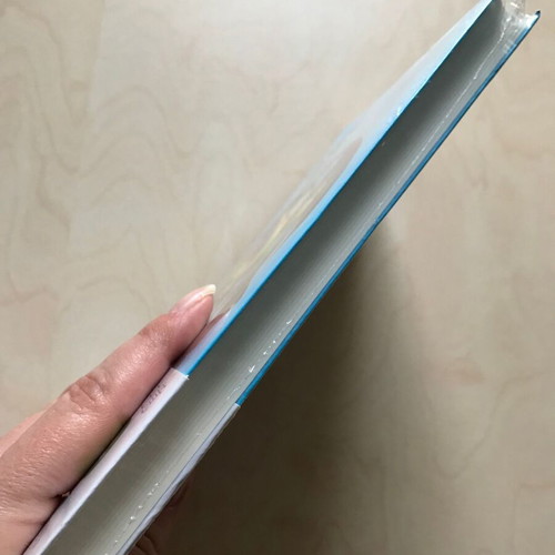 Inside Out Chinese Edition book new Disney Pixar 2015