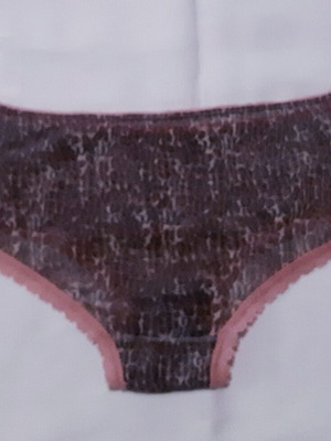 Zara Brazilian panties medium, animal print, elastic tulle, brown pink