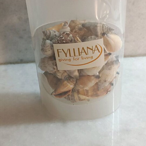 Fylliana decorative shells new, pack
