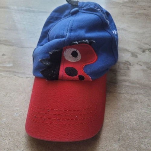 E-Bound boys' swimsuit like new with dinosaur hat gift