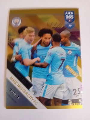 Panini FIFA 365 2019 Manchester City card like new