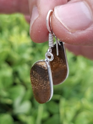 Fossilized Coral Earrings with Opal Finish, Handmade, 925 Silver Plated, new